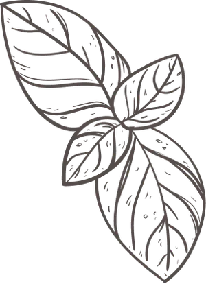 Image d'illustration